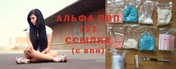 шишки Магадан