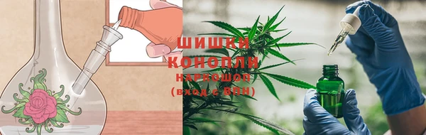шишки Магадан