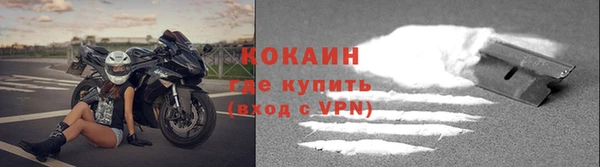 шишки Магадан